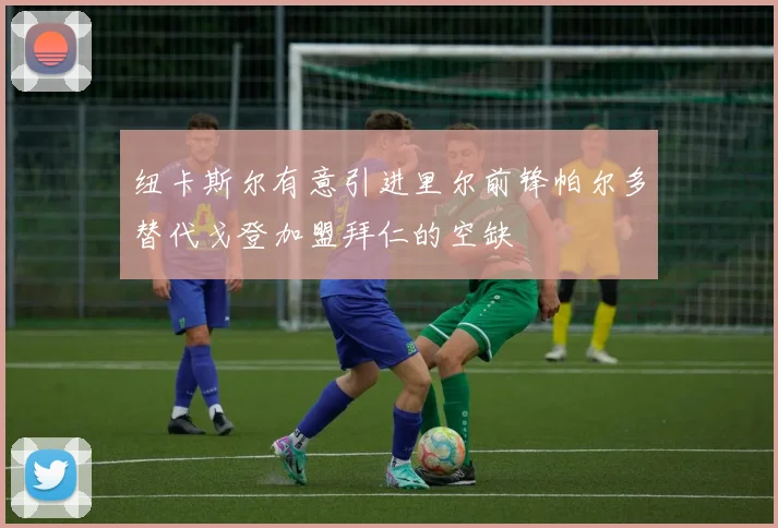 纽卡斯尔有意引进里尔前锋帕尔多替代戈登加盟拜仁的空缺